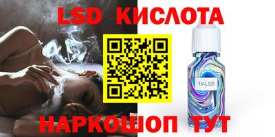 индика Партизанск