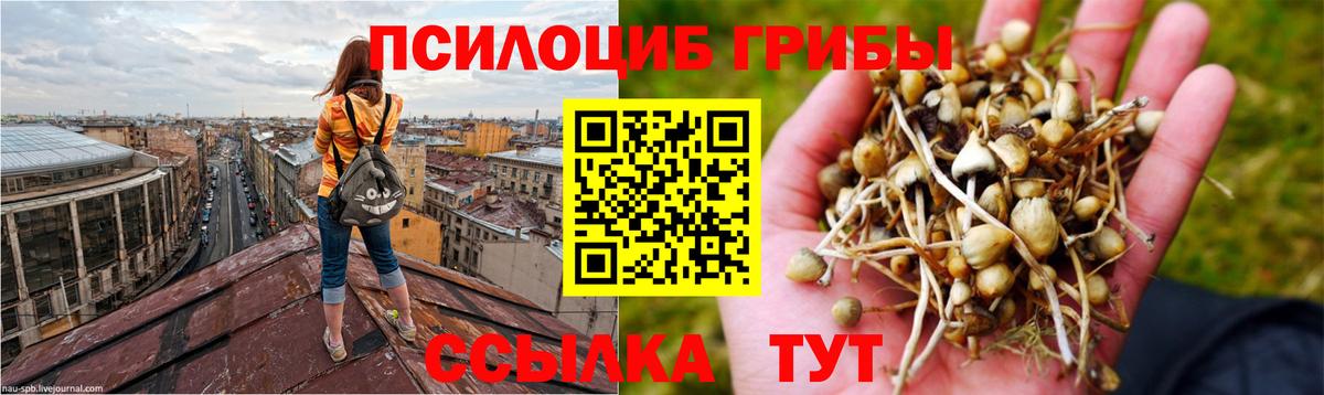 Галлюциногенные грибы мицелий Рузаевка